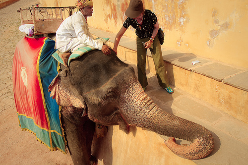 City Elephant Train in Motion